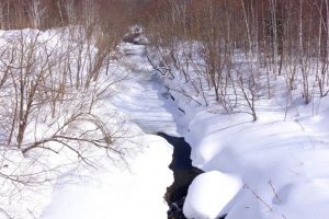 LINE_ALBUM_スノーシューPR用写真_251203_14